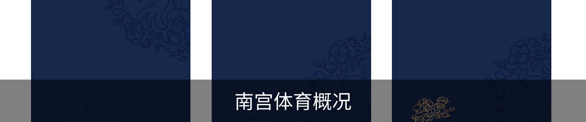 内页banner